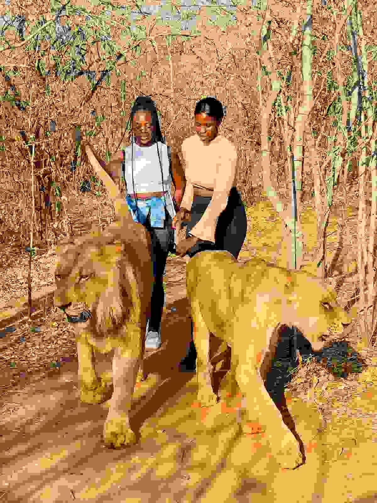 Section image