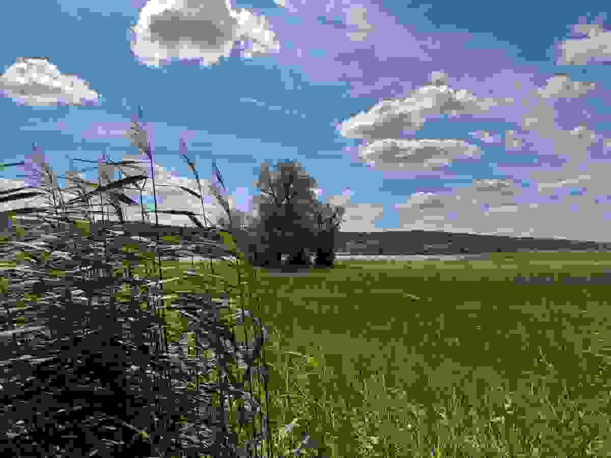 broken image
