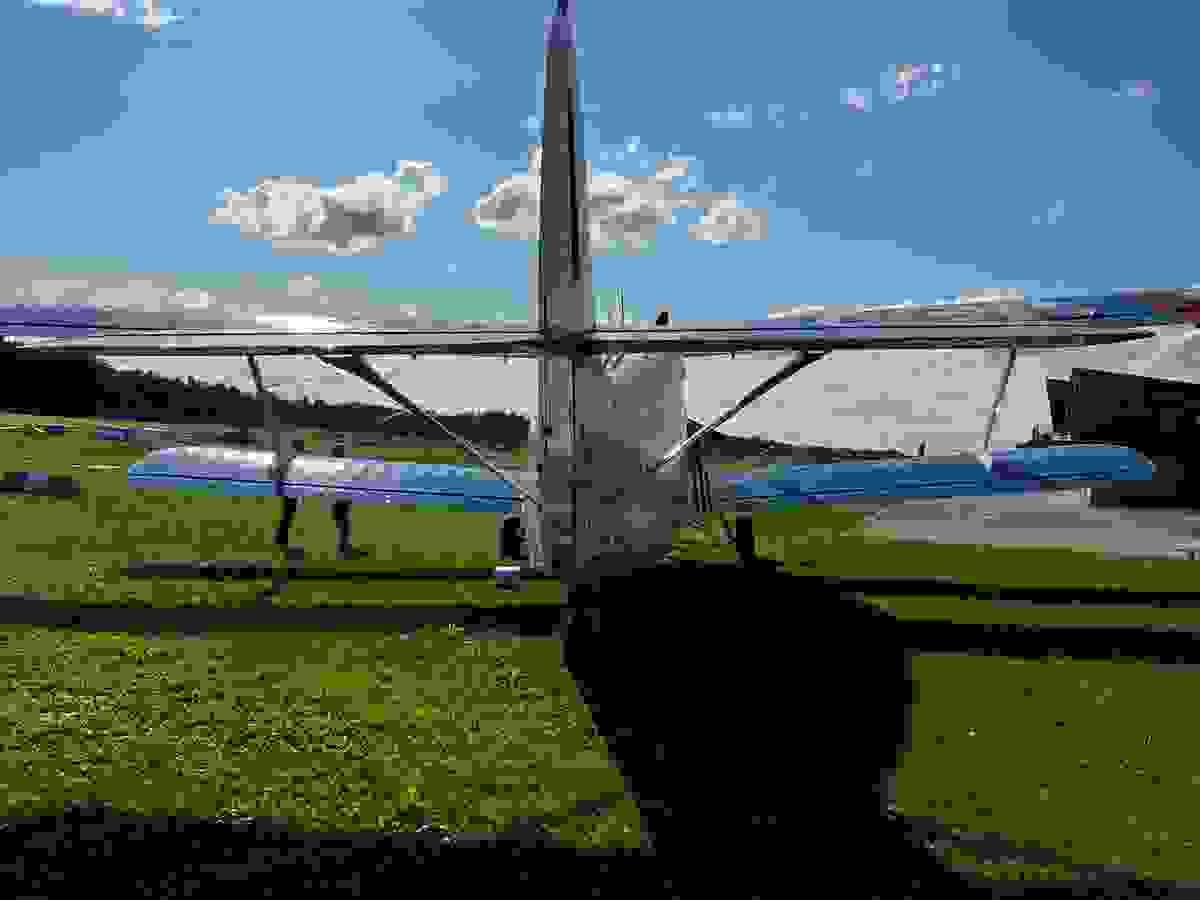 Section image