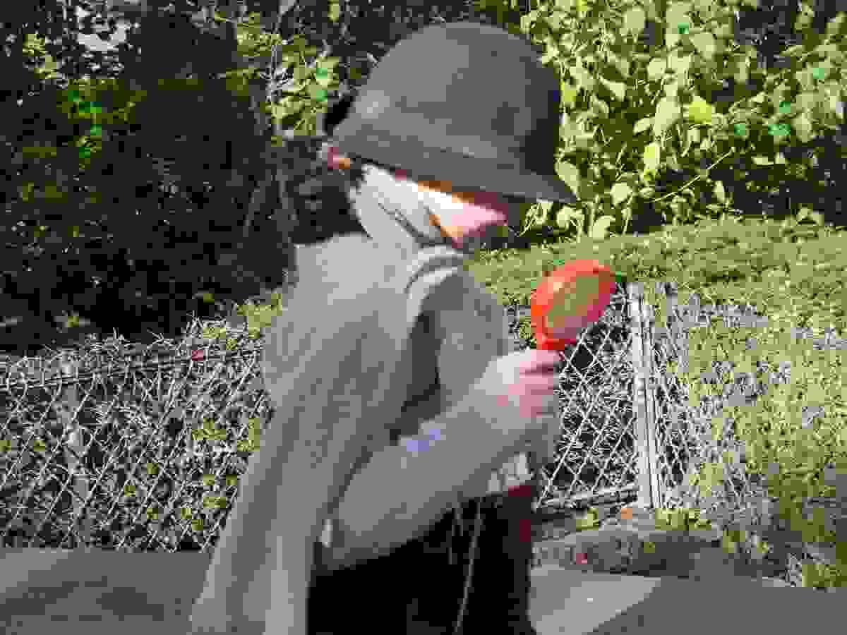 broken image