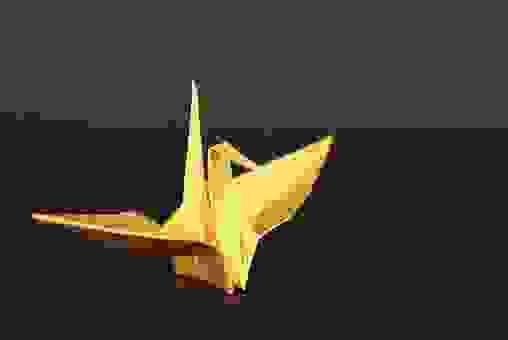 broken image