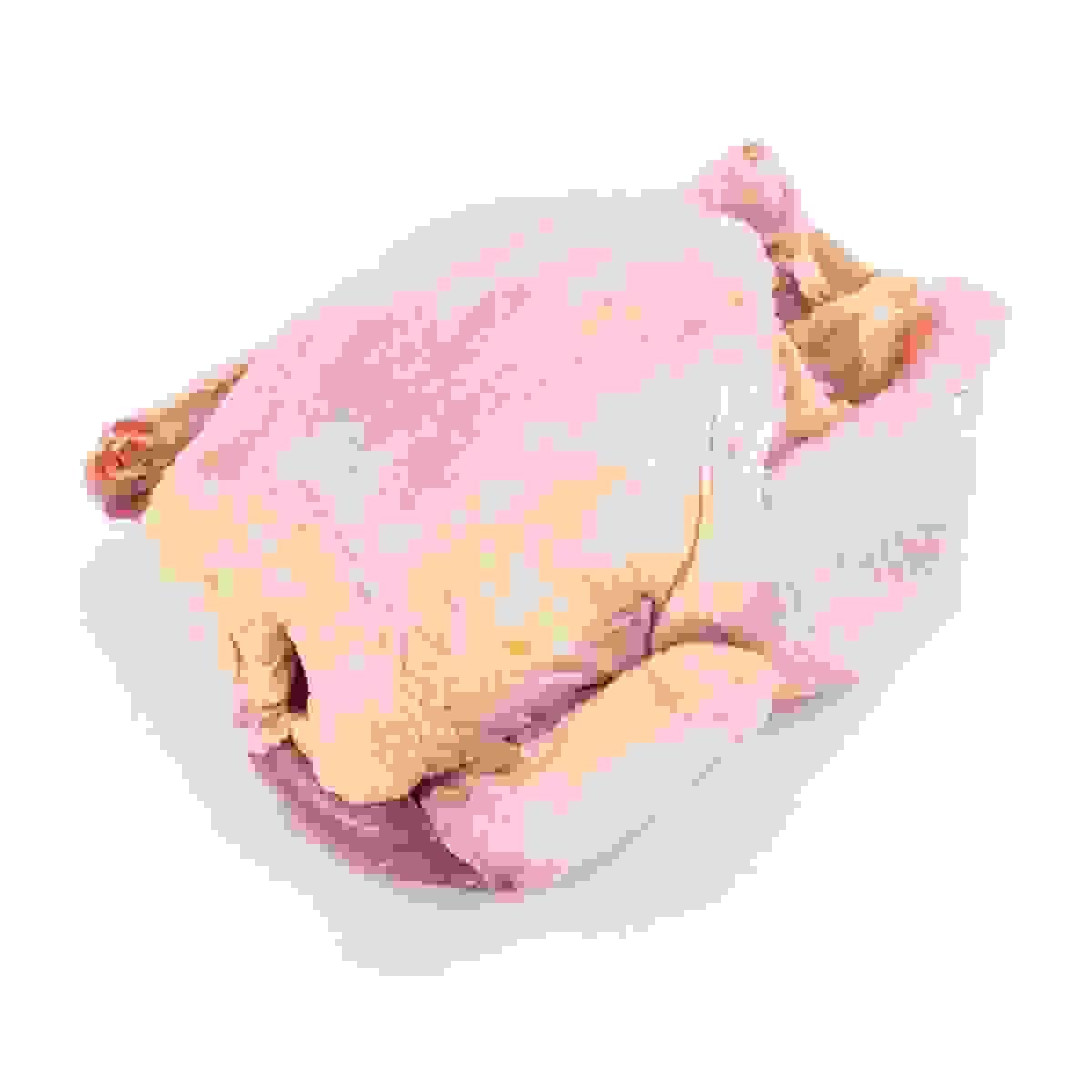 Section image