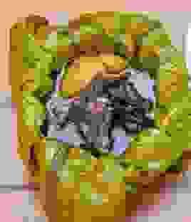 broken image