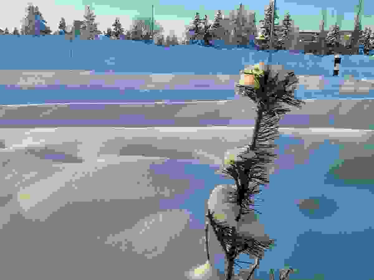 Snowy scene in remote Alaska