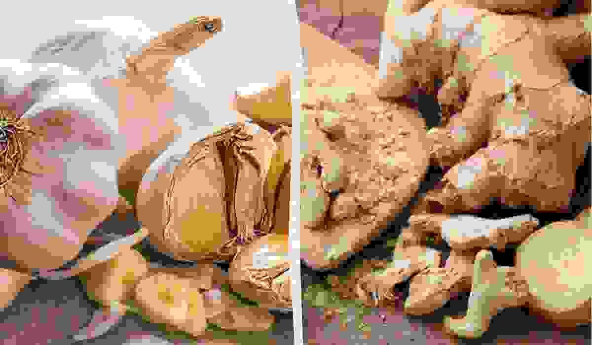 broken image