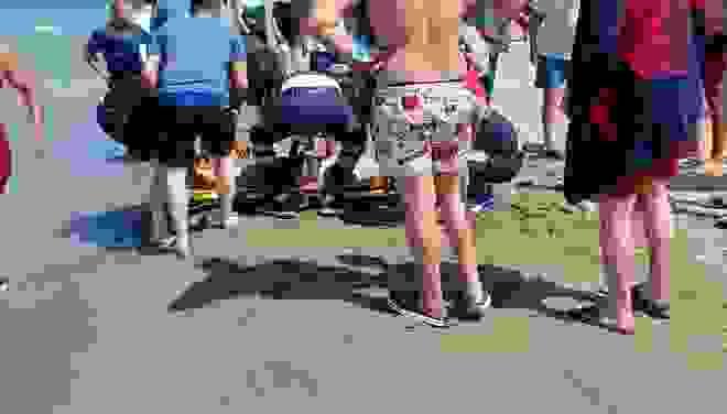 broken image