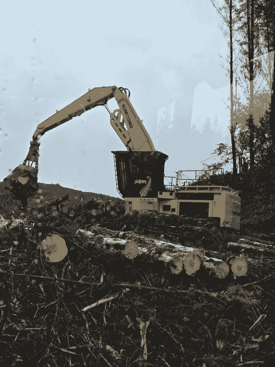 Section image
