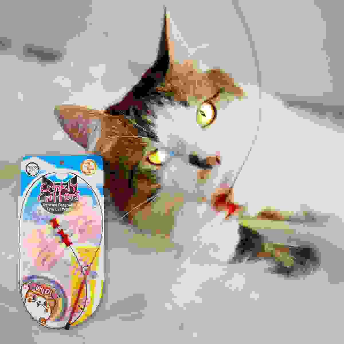 broken image