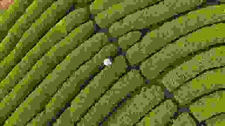 Section image