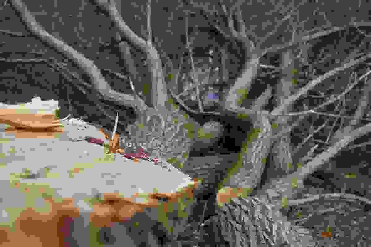 broken image