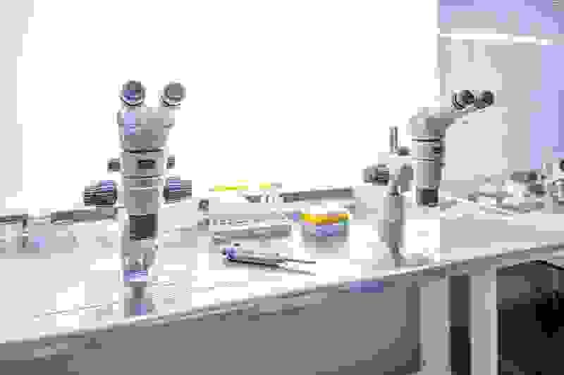 Section image