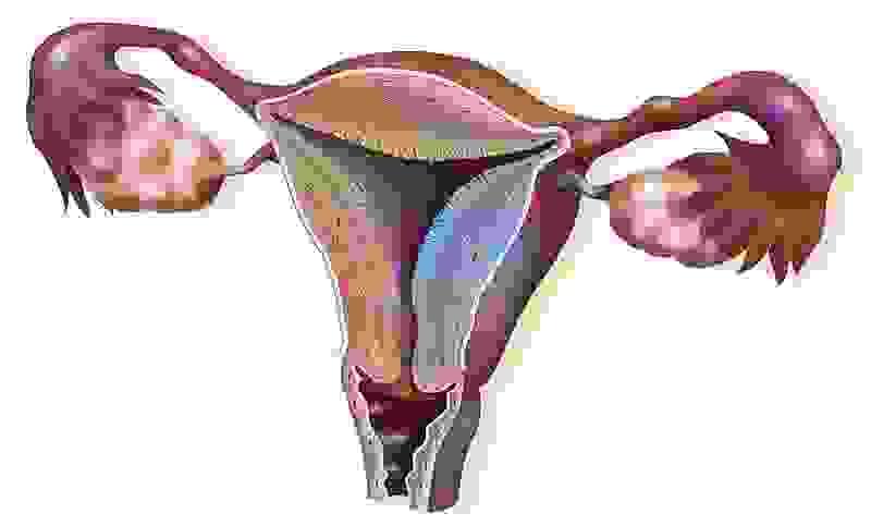 Section image
