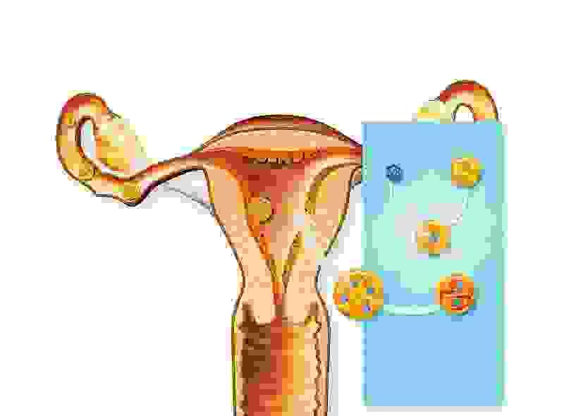 Section image