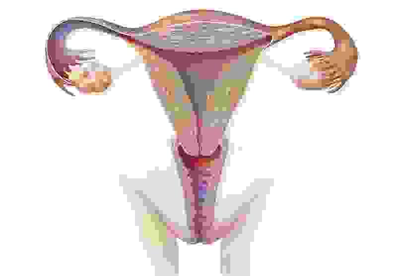 Section image