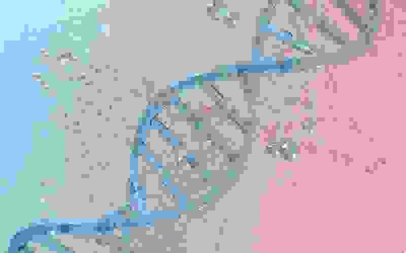 Section image