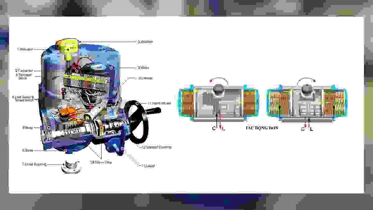 Section image