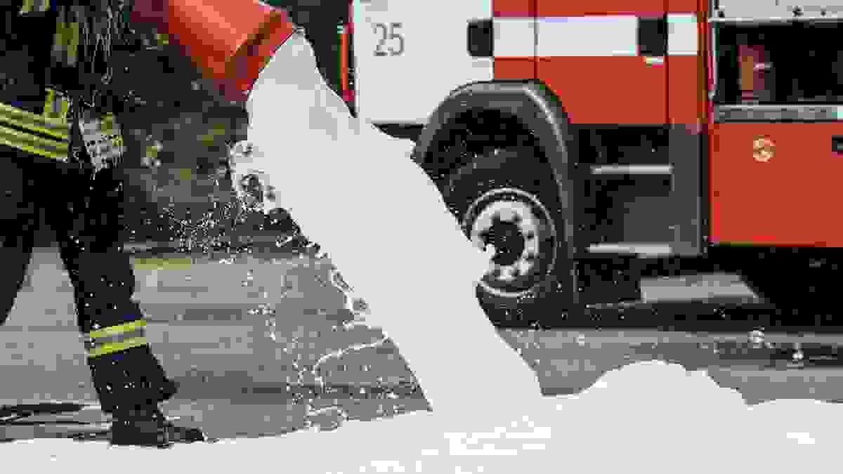 Section image