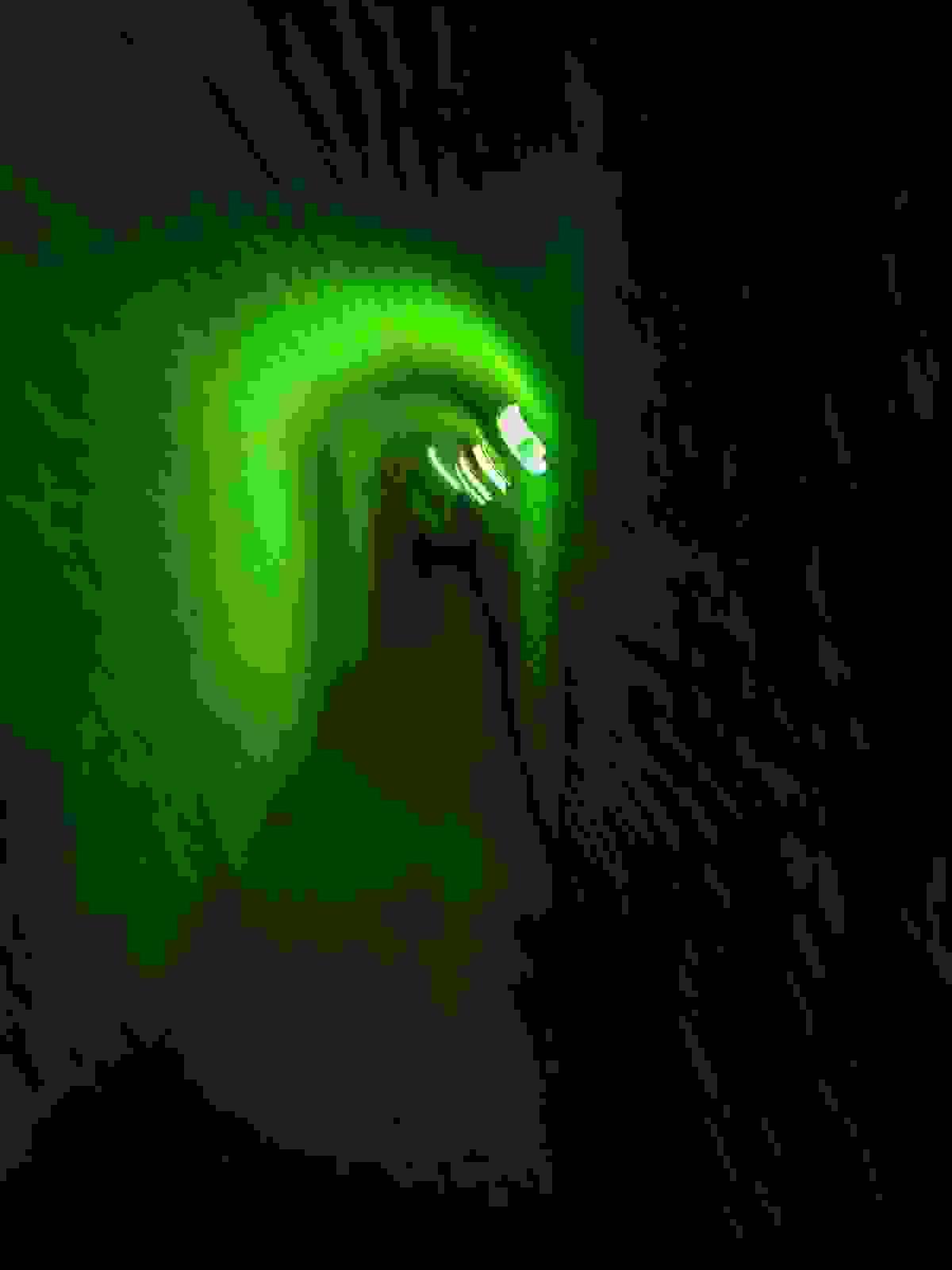 Section image