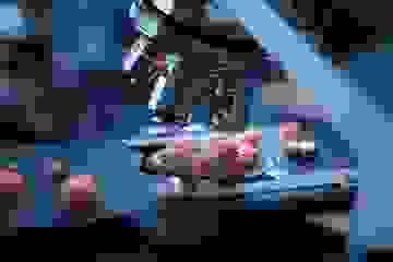 broken image