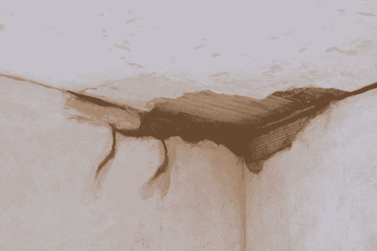 broken image