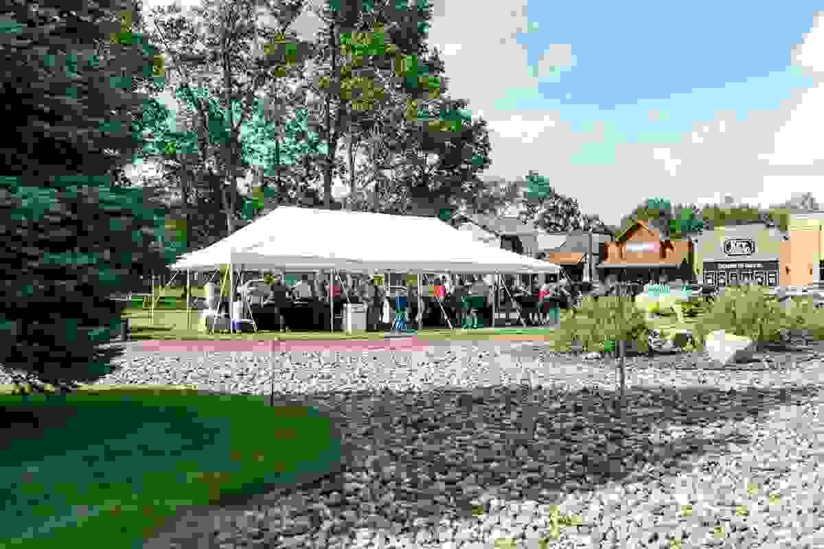 Section image