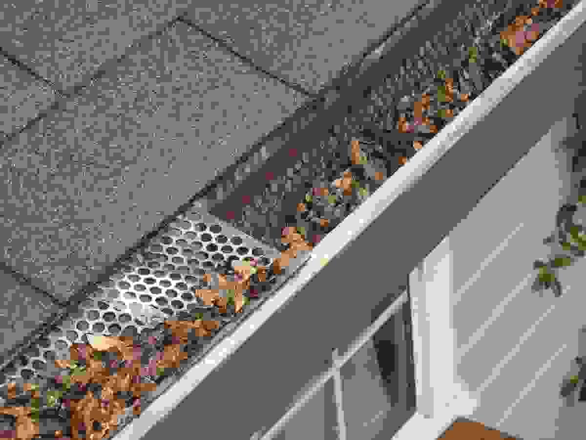 Section image