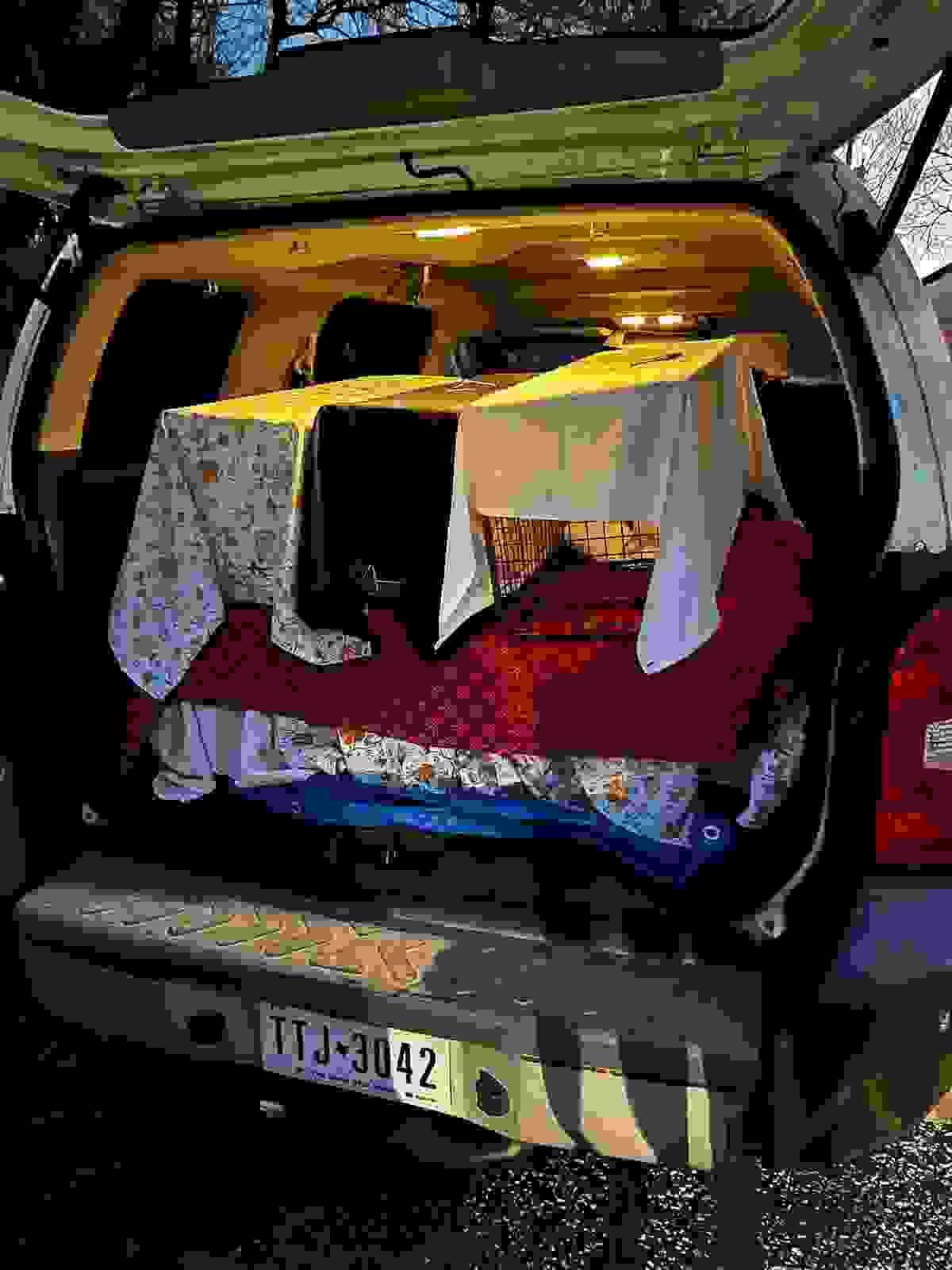 Section image