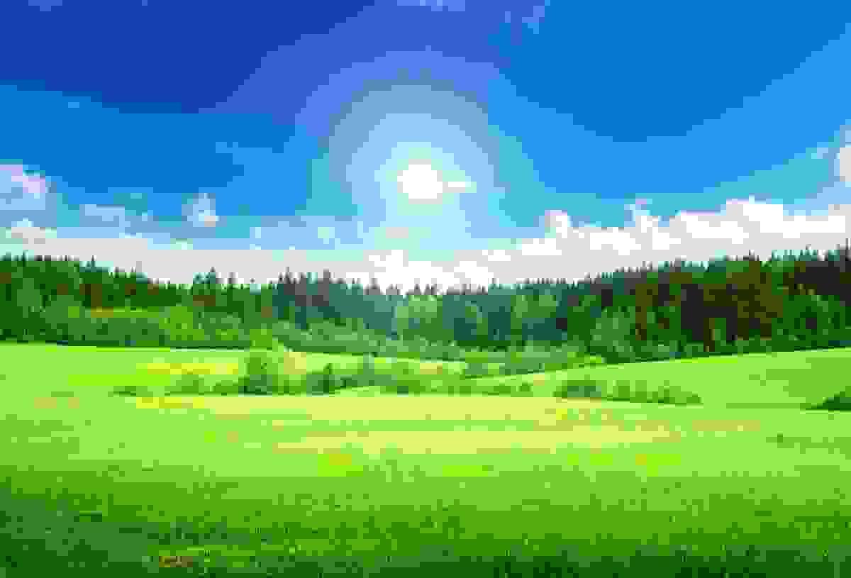 broken image