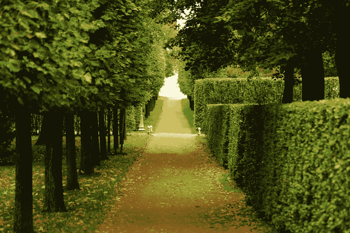 Section image