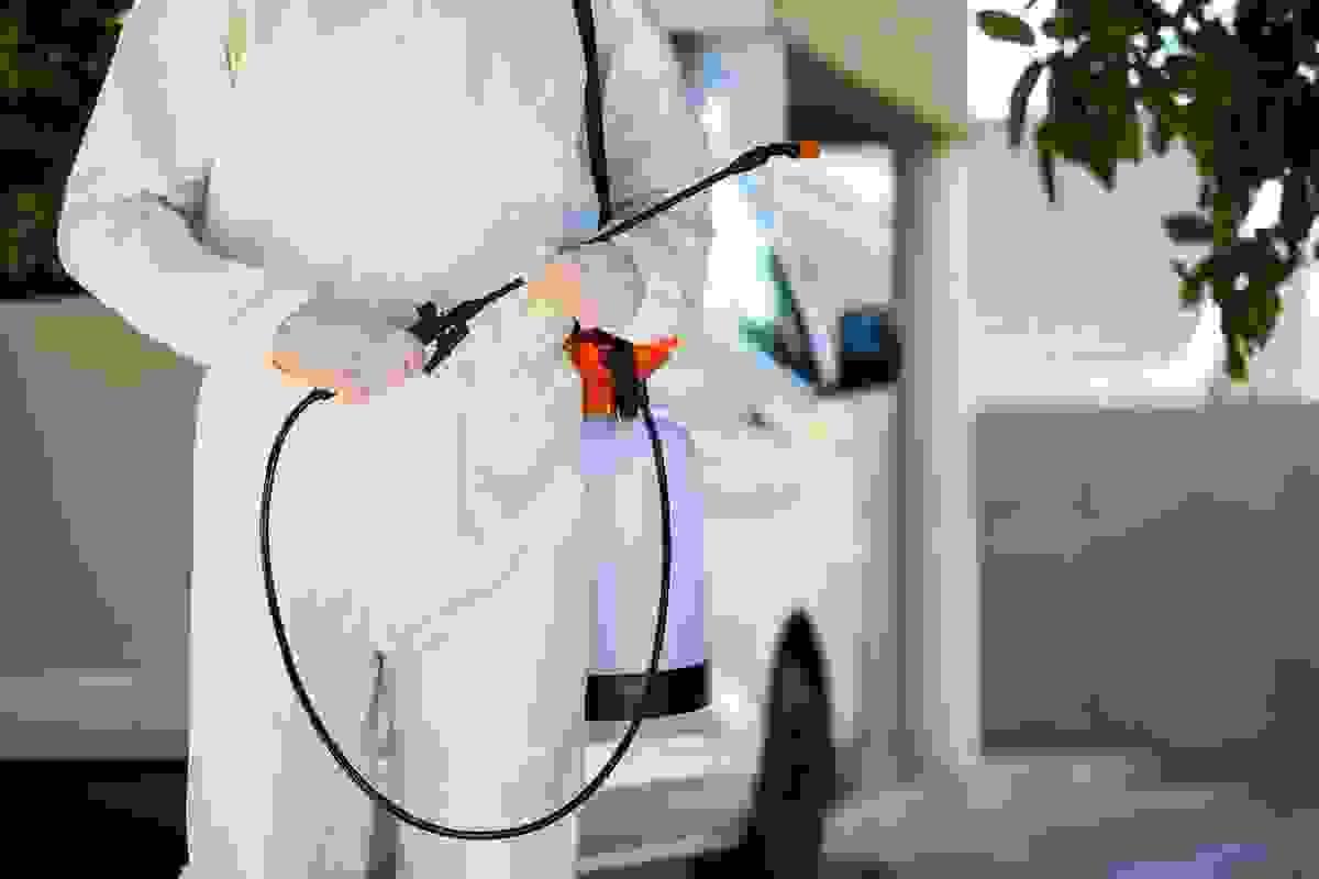 broken image