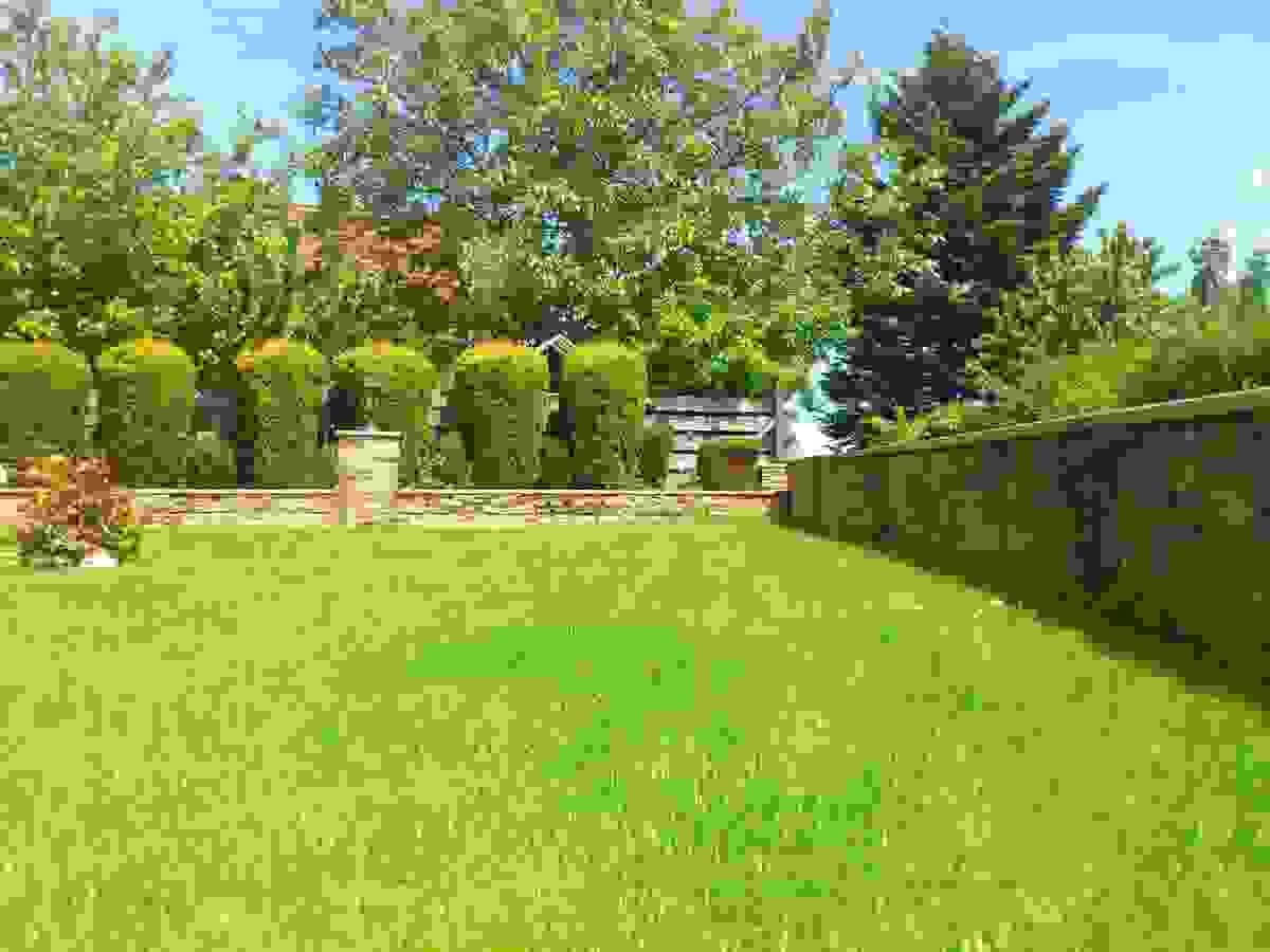Section image