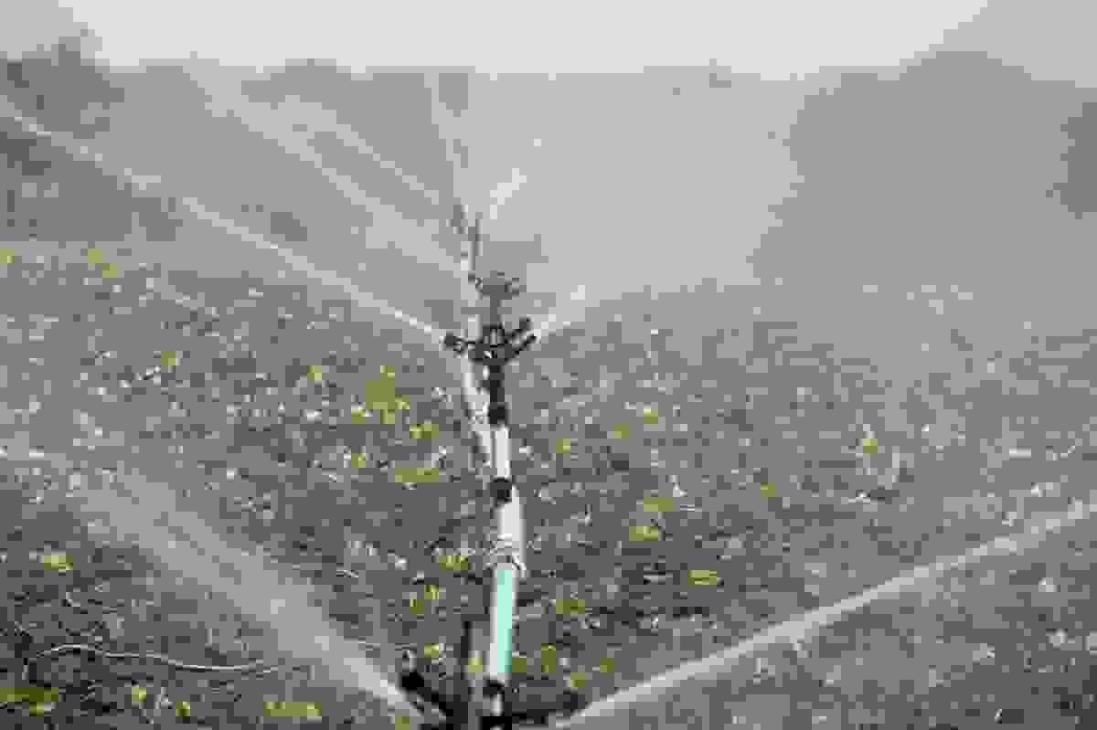 broken image