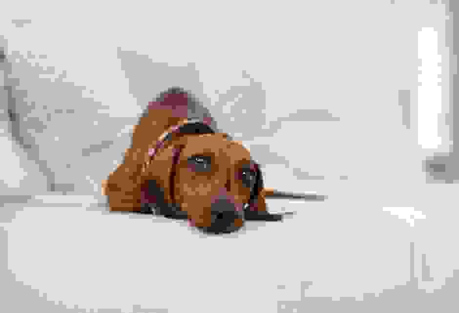 broken image