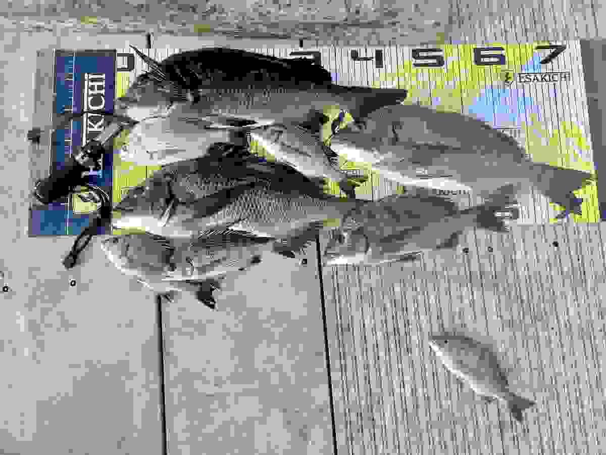 broken image