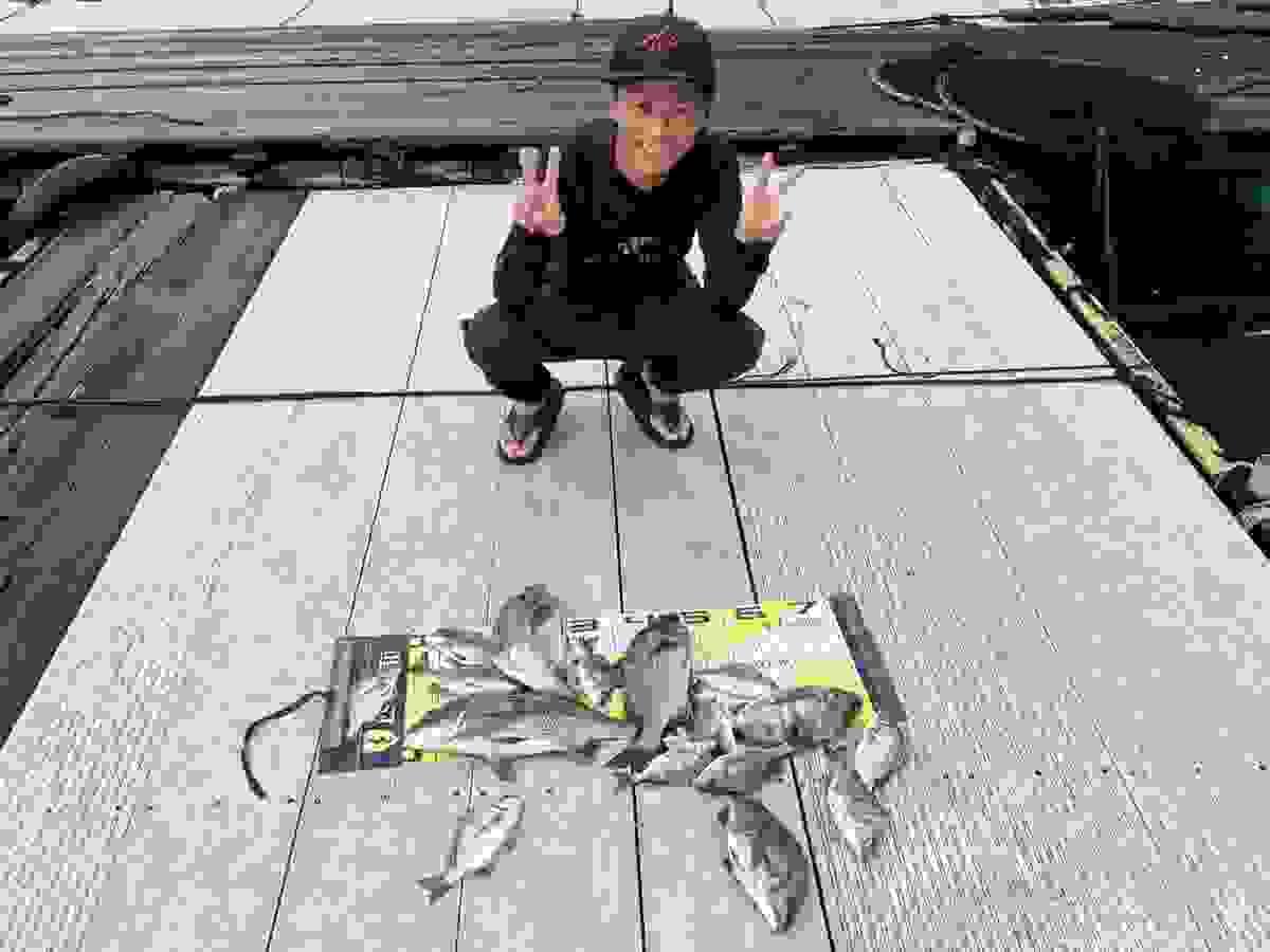 broken image