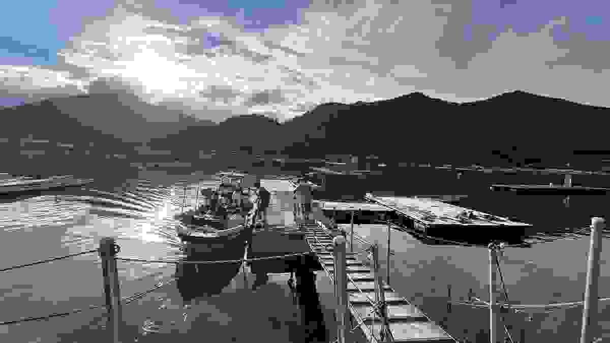 broken image