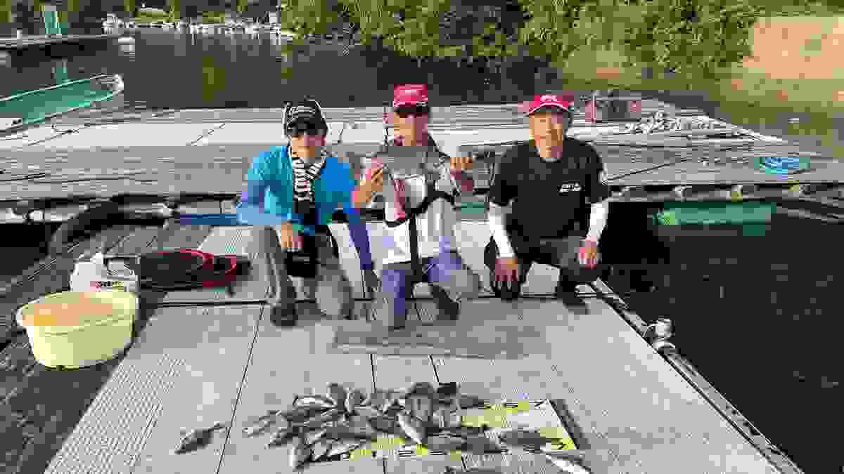 broken image