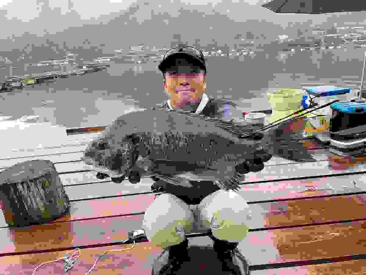 broken image