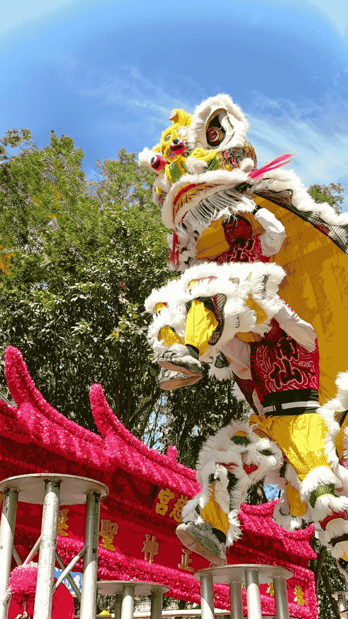 Our lion dance performance combines tradition and modernity, adding vitality and festivity to your event. Lion dance performance The services we provide Awakening lion, dragon dance and lion dance, traditional performance, lion formation, dragon formation, war drum performance, groundbreaking ceremony, year-end party program, New Year activities, New Year performance, wedding and funeral celebrations, various traditional performances entrusted to us Wangfu!