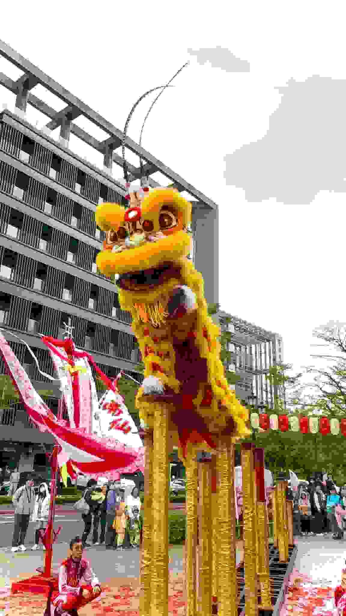 The exquisite dragon dance performance will bring a spectacular visual feast to your celebration. Dragon dance performance The services we provide Awakening lion, dragon dance and lion dance, traditional performance, lion formation, dragon formation, war drum performance, groundbreaking ceremony, year-end party program, New Year festival activities, New Year performance, wedding and funeral celebrations, various traditional performances entrusted to us Wangfu!