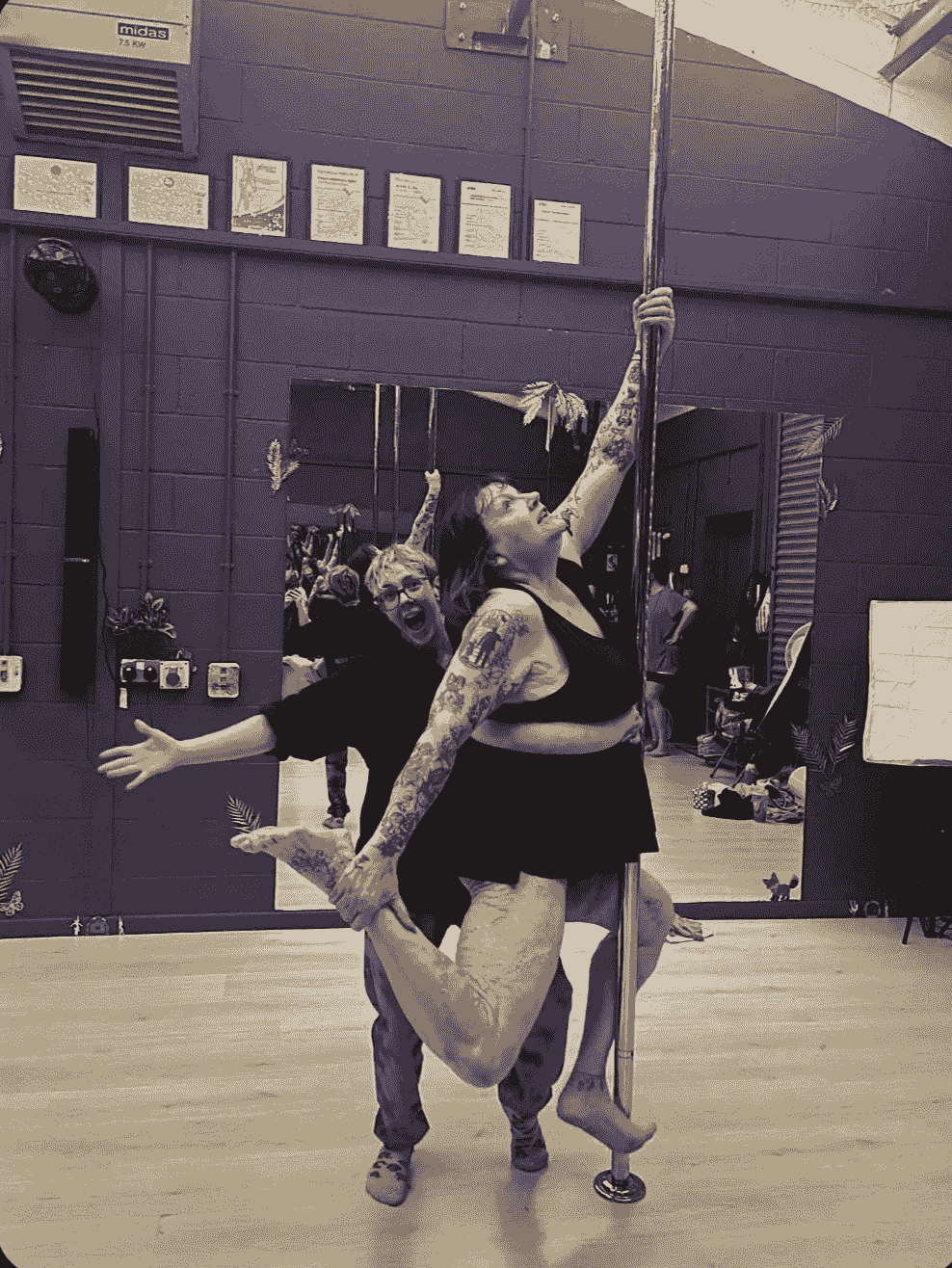 pole fitness pole fitness