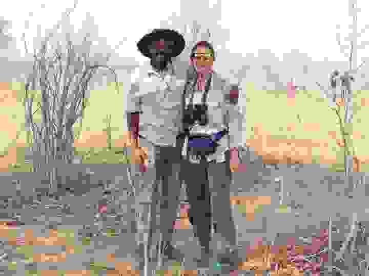 Section image