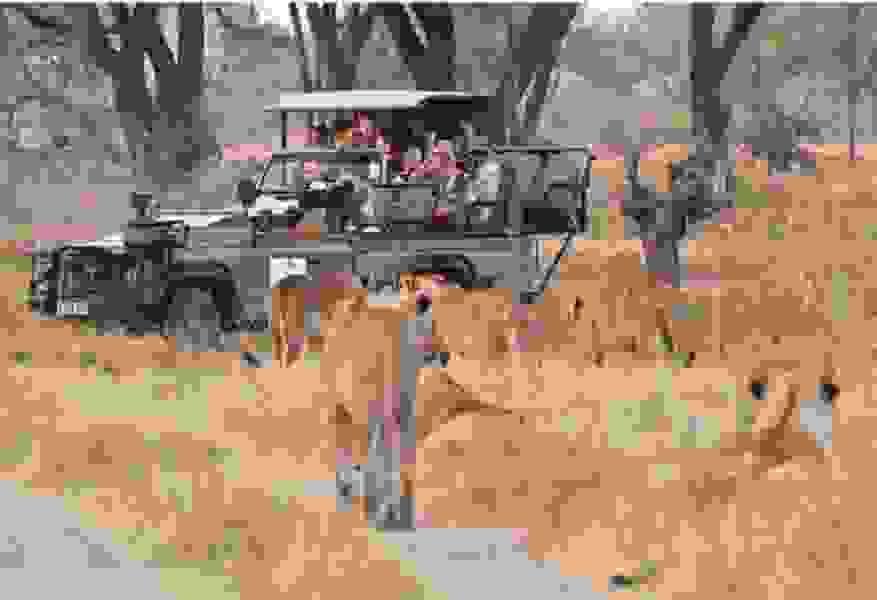 Section image