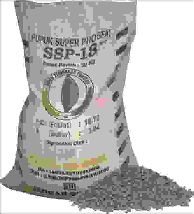 We are committed to supporting sustainable and environmentally friendly agricultural practices through our products. Commitment to Sustainability What we offer PT ASJAD BAKIR FERTILIZER is a professional fertilizer distributor dedicated to providing efficient, stable, and sustainable supply solutions for Indonesian agriculture. With a strong customer base in the local market and a comprehensive logistics and distribution network, we ensure the fast and safe delivery of high-quality fertilizers to various farms, cooperatives, and agricultural enterprises.

Through integrity and professional service, PT ASJAD BAKIR FERTILIZER continues to grow into a trusted agricultural partner, collaborating with its customers to promote sustainable agricultural development in Indonesia.