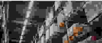 Our team is committed to providing exceptional service, assisting you at every step of the procurement and transportation process. Dedicated Customer Support Our Services 奢侈品採購與運輸行業11年
不要有關於買賣的產品 Our team is committed to providing exceptional service, assisting you at every step of the procurement and transportation process. Dedicated Customer Support Our Services 奢侈品採購與運輸行業11年
不要有關於買賣的產品