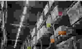 — Oliver Liu “Working with Sterne has been a remarkable experience. Their professionalism and attention to detail are truly commendable.” Our dedicated team has facilitated luxury procurement and transport for over 500 clients 奢侈品採購與運輸行業11年
不要有關於買賣的產品 — Oliver Liu “Working with Sterne has been a remarkable experience. Their professionalism and attention to detail are truly commendable.” Our dedicated team has facilitated luxury procurement and transport for over 500 clients 奢侈品採購與運輸行業11年
不要有關於買賣的產品