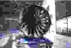 Our team is committed to providing exceptional service, assisting you at every step of the procurement and transportation process. Dedicated Customer Support Our Services 奢侈品採購與運輸行業11年
不要有關於買賣的產品 Our team is committed to providing exceptional service, assisting you at every step of the procurement and transportation process. Dedicated Customer Support Our Services 奢侈品採購與運輸行業11年
不要有關於買賣的產品