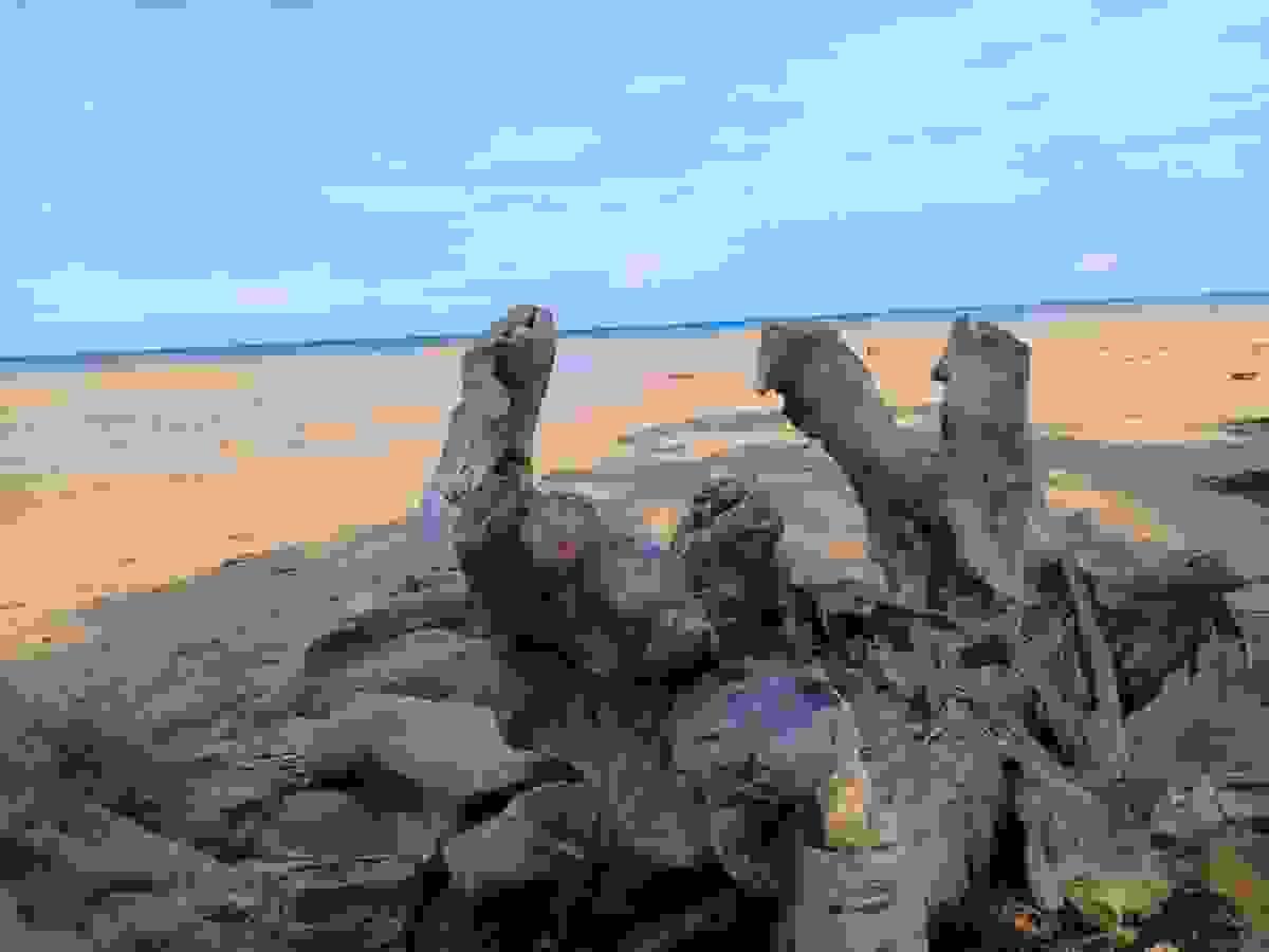 Section image