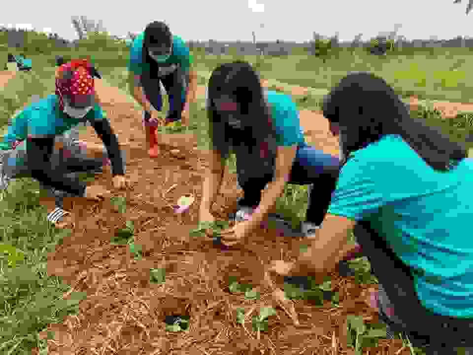 We are dedicated to uplifting rural communities by providing education that leads to self-sufficiency. Through our Family Farm School model, we create opportunities for families to thrive economically while fostering a love for agriculture and stewardship of the land. Empowering Rural Communities Our Mission The Pampamilyang Paaralang Agrikultura Foundation, Inc. (PPAFI) is a Philippine-based nonprofit organization dedicated to advancing agricultural education and rural development through innovative, skills-based training programs. Established in 1986, PPAFI pioneered the “Family Farm School” model in the country, blending academic learning with practical, farm-based experience to empower young individuals in rural communities. We are dedicated to uplifting rural communities by providing education that leads to self-sufficiency. Through our Family Farm School model, we create opportunities for families to thrive economically while fostering a love for agriculture and stewardship of the land. Empowering Rural Communities Our Mission The Pampamilyang Paaralang Agrikultura Foundation, Inc. (PPAFI) is a Philippine-based nonprofit organization dedicated to advancing agricultural education and rural development through innovative, skills-based training programs. Established in 1986, PPAFI pioneered the “Family Farm School” model in the country, blending academic learning with practical, farm-based experience to empower young individuals in rural communities.