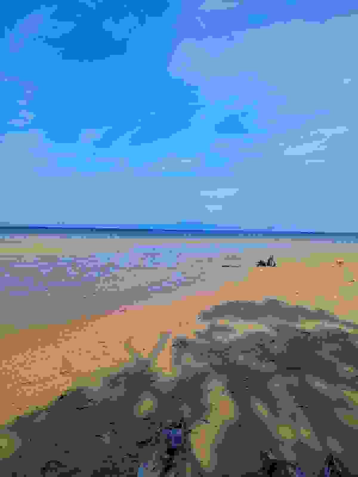 Section image